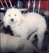 Sly 1991-2004 (click to enlarge)